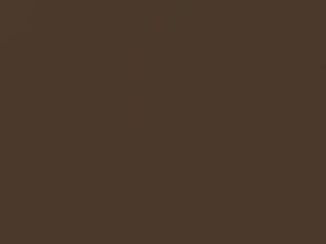 Porsche All Models Nutmeg Brown Metallic 1985 L492
