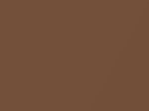 Datsun All Models Bronze Metallic 1977 324