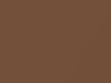 Datsun All Models Bronze Metallic 1977 324