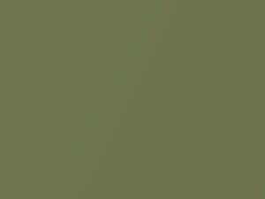 Buick All Models Dark Green Metallic 1980 44, 7105, WA7105