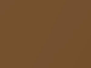 Ford All Models Medium Brown Metallic 1970 5, M3564A