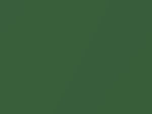 AMC All Models Fairway Green Metallic 1973 E3 - Scratch Repair