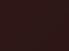 Chevrolet All Models Russet Brown 1955 668