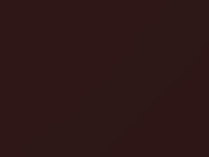 Chevrolet All Models Russet Brown 1955 668 - Scratch Repair