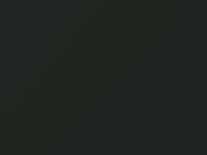 Austin Rover All Models Sherwood Green 1965 GN24 - Scratch Repair