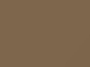 Dodge All Models Fawn Beige 1967 BAE1T1 - Scratch Repair