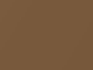 Oldsmobile All Models Light Beechwood Metallic 1991 62, 9089, WA9089 - Scratch Repair