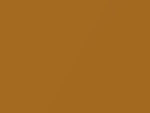 Lotus Lotus Sahara Gold Metallic 1998 B69