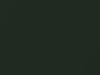 Porsche All Models Oak Green Metallic 1995 22L, 23G