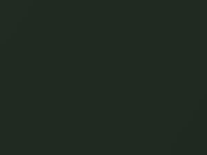 Porsche All Models Oak Green Metallic 1993 22L, 23G