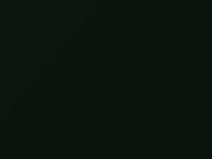 Ferrari All Models Verde Inglese 2011 606 - Scratch Repair