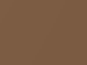 Chevrolet All Models Light Beechwood Metallic 1989 57, 9180, WA9180 - Scratch Repair