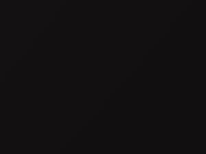 Nissan Pickup Black Pearl 2005 GN0 - Scratch Repair