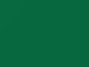 Mercedes-Benz Truck Saftgruen 1977 6821, 821