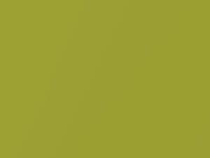 Ford Courier Vitreous Green Metallic 1996 2789, 559, L, L6, PCAG, XSC2789