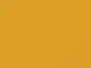 Suzuki All Models Naples Yellow 1997 Z1E
