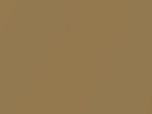 Buick All Models Cornet Gold Metallic 1970 4023, 55, WA4023