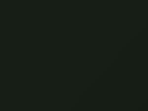 Land Rover Range Rover Coniston Green 1998 570, HYE - Scratch Repair