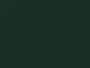 Mercedes-Benz R Class Lianengruen 1983 243, 6243