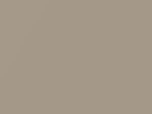 Daewoo All Models Champagne Gold Metallic 2011 CG1, CGI