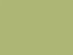 Suzuki All Models Lime Green Metallic 2009 ZFB