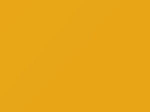Volkswagen All Models Double Yellow 2005 A6, A6A6, D1D, LD1D