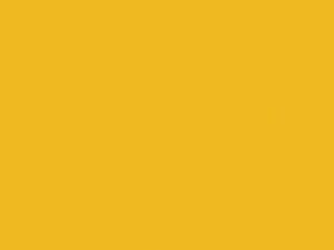 Audi A3 Citrus Yellow 2007 LY1G, Y1G, Y8