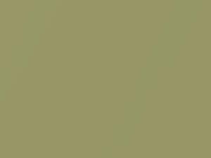 Dodge Dakota Light Kiwi Pearl 1996 DT9304, F4, PF4, SF4 - Scratch Repair