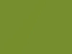 Hyundai All Models Electrolyte Green Metallic 2015 VE9