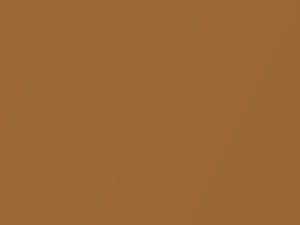 BMW 7 Series Arizona Sun Metallic 2003 603 - Scratch Repair