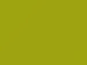 Kia All Models Lime 2012 ALM