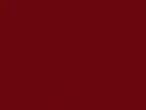 Nissan All Models Red 1996 AG2