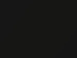 Ford Fiesta Black Pearl 2014 16W, 2FM, BM, WVC - Scratch Repair