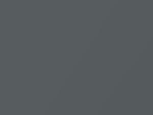 Ford Transit Sterling Gray Metallic 2015 UJ