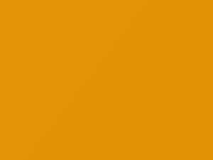 Ford All Models Bold Yellow 2006 SY