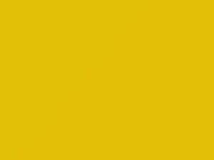 Suzuki All Models Champion Yellow II 2006 YU1