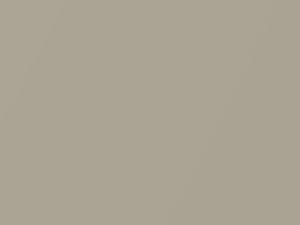 Mitsubishi All Models Champagne Metallic 2004 CMS10008, S08