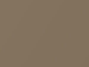 Kia Rio Light Gold Metallic 2002 6Y