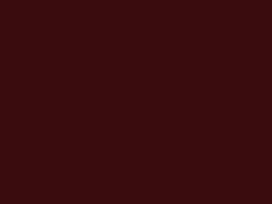 Yugo All Models Vintage Burgundy 1991 181