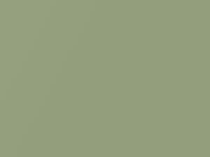 Mitsubishi All Models Green Metallic 2005 CMG10091, EF, G91 - Scratch Repair