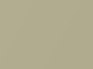 Daihatsu All Models Light Beige Metallic 2011 T11