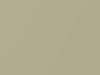 Daihatsu All Models Light Beige Metallic 2011 T11