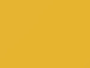 Volkswagen Polo Sunflower Yellow 2007 9166, B1B, LB1B, T1, T1T1