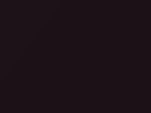 Ford Fiesta Dark Aubergine Mica 1996 2747C, 544, 7, 75, E, E1, E2, E5, E6, E7, E8, GAAN, XSC2747 - Scratch Repair