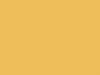 Chevrolet All Models Yellow Bird 1980 56, 7233, WA7233