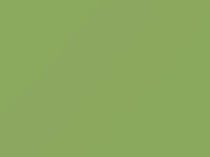 Chevrolet All Models Light Green 1976 43, 5232, WA5232
