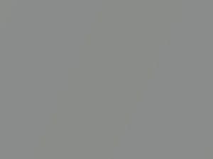 Ford All Models Nimbus Gray Metallic 1997 M6696A, ZL