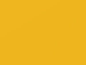 Kia All Models Fresh Yellow 2012 II