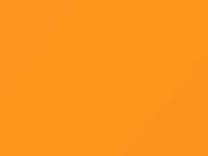 Volkswagen Beetle Orange Arte 2000 9203, LW2B, W2B