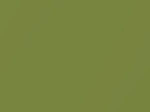 Volkswagen All Models Green Tendence Metallic 2001 4L, 9050, A6M, LA6M